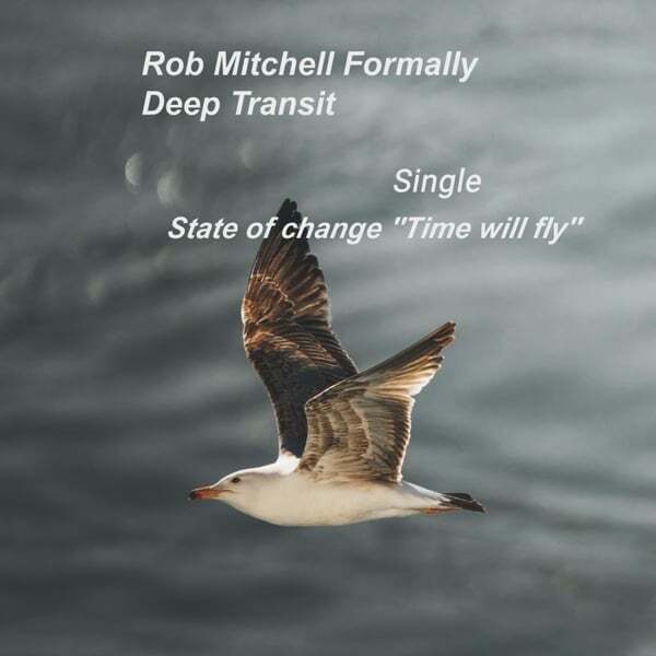 Cover art for State of change (Time will fly)